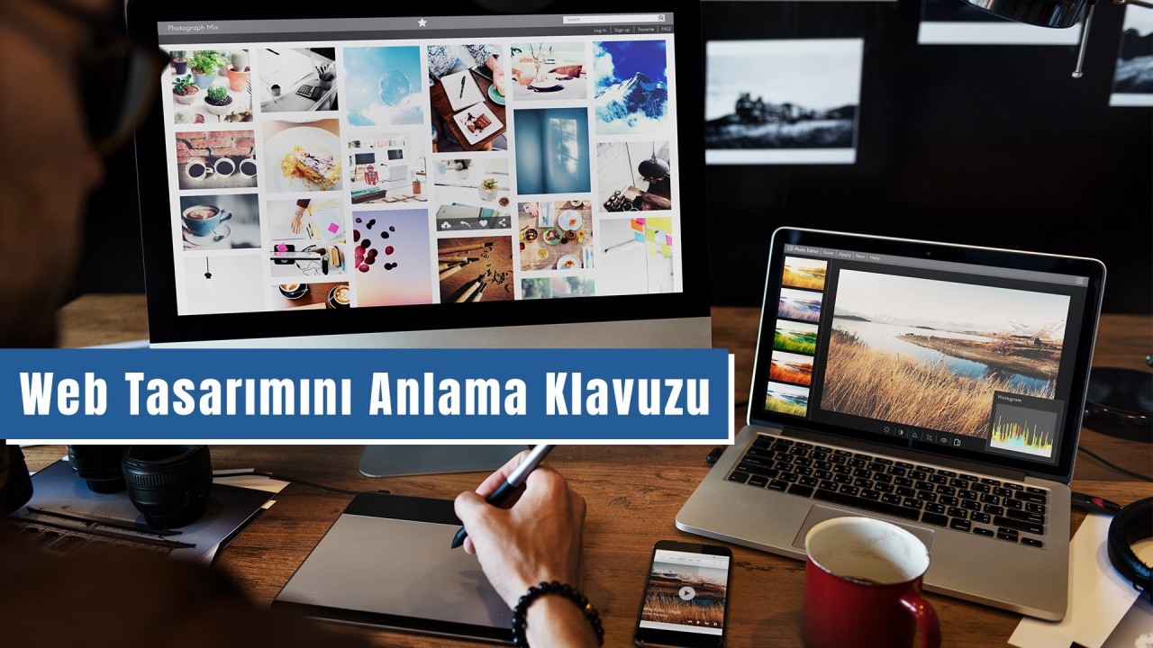Web Tasarımını Anlama Klavuzu